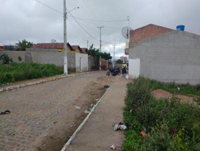 Terreno para Venda, em Pesqueira, bairro Pedra Redonda