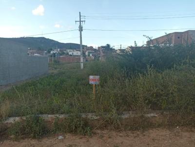 Terreno para Venda, em Pesqueira, bairro Prado